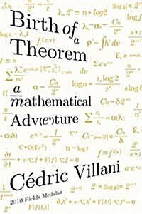 Birth of a Theorem (Paperback)