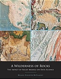 A Wilderness of Rocks: The Impact of Relief Models on Data Science (Paperback)