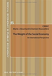 The Weight of the Social Economy: An International Perspective (Paperback)