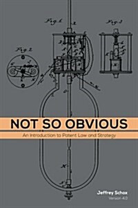 Not So Obvious: An Introduction to Patent Law and Strategy (Paperback)
