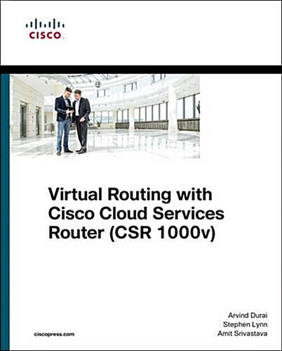 Virtual Routing in the Cloud (Paperback)