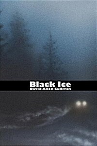 Black Ice (Paperback)