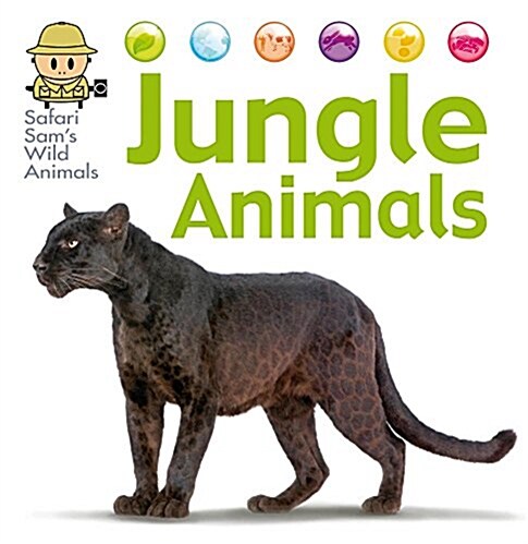 Jungle Animals (Library Binding)