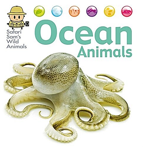 Ocean Animals (Library Binding)