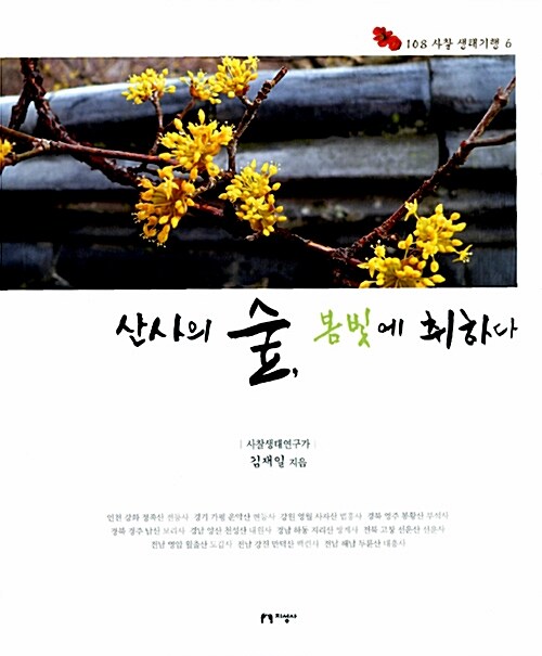 산사의 숲, 봄빛에 취하다 