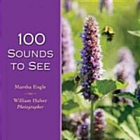 100 Sounds to See (Hardcover)