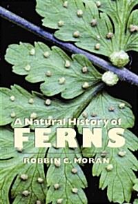 A Natural History of Ferns (Paperback)