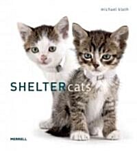 Shelter Cats (Hardcover)