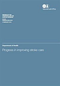 Progress in Improving Stroke Care (Paperback)