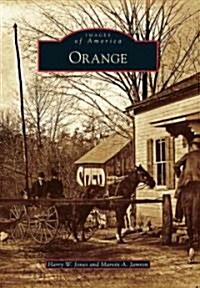 Orange (Paperback)
