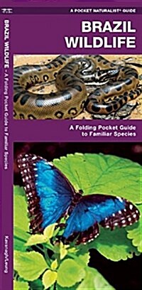 Brazil Wildlife: A Folding Pocket Guide to Familiar Animals (Paperback)