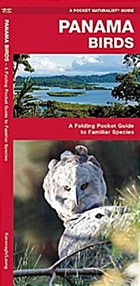 Panama Birds: A Folding Pocket Guide to Familiar Species (Paperback)