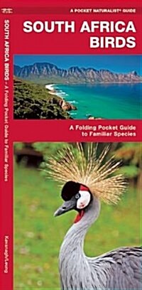 South Africa Birds: A Folding Pocket Guide to Familiar Species in the South African Region (Paperback)