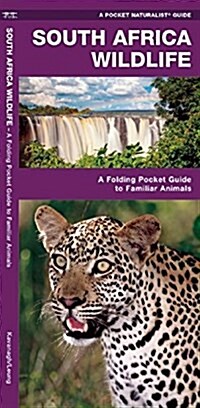 South Africa Wildlife: A Folding Pocket Guide to Familiar Animals in the South African Region (Paperback)