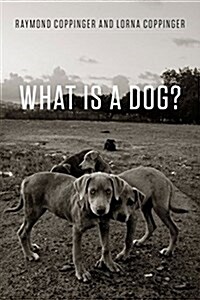 What Is a Dog? (Hardcover)