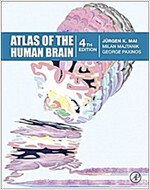 Atlas of the Human Brain (Hardcover, 4)