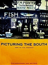 Picturing the South (Paperback)