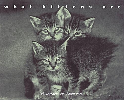 What Kittens Are (Hardcover)