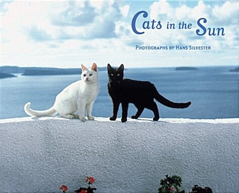 Cats in the Sun (Paperback, NCR, Spiral, CR)
