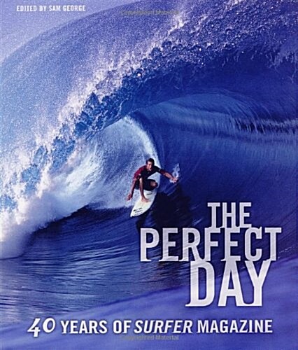 The Perfect Day (Hardcover)