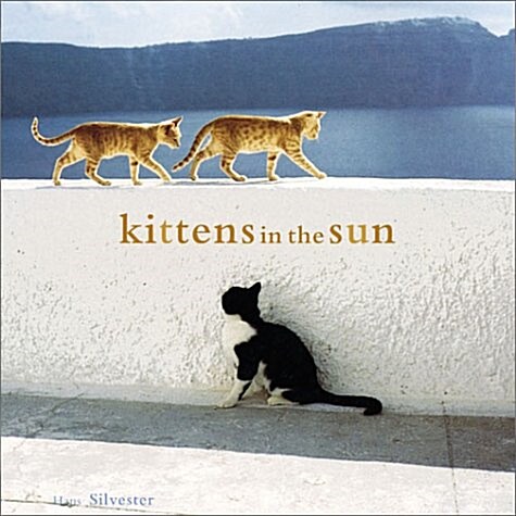 Kittens in the Sun (Paperback, 1st)