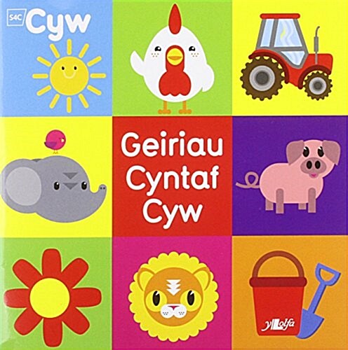 Cyfres Cyw: Geiriau Cyntaf Cyw (Paperback)