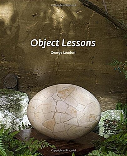 Object Lessons : The Visualisation of Nineteenth-Century Life Sciences (Hardcover)