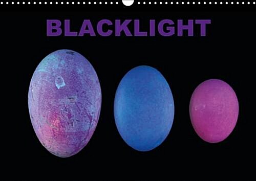 Blacklight 2016 : Monthly Calendar, 14 Pages (Calendar)