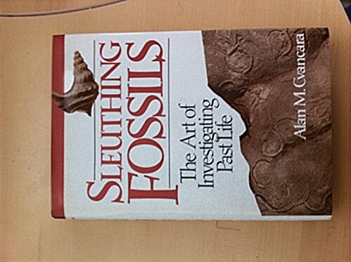 Sleuthing Fossils (Hardcover)