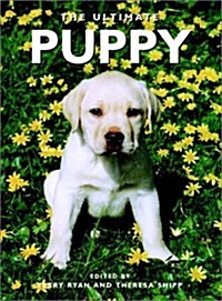 The Ultimate Puppy (Hardcover)