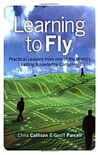 Learning to Fly (Paperback)