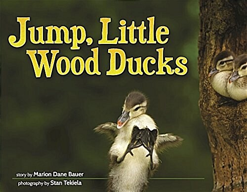 Jump, Little Wood Ducks (Hardcover)