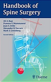 Handbook of Spine Surgery (Paperback, 2)