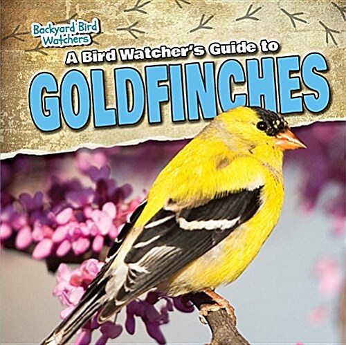 A Bird Watchers Guide to Goldfinches (Paperback)