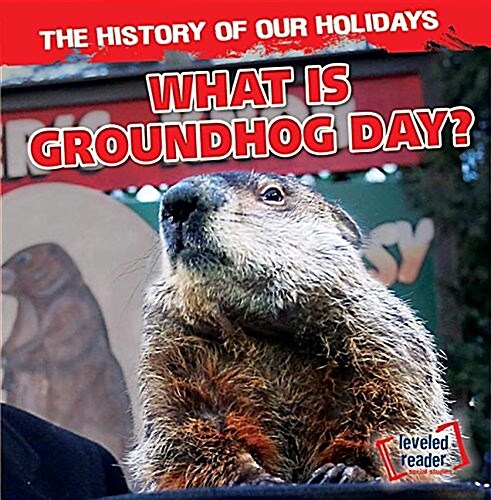 What Is Groundhog Day? (Paperback)