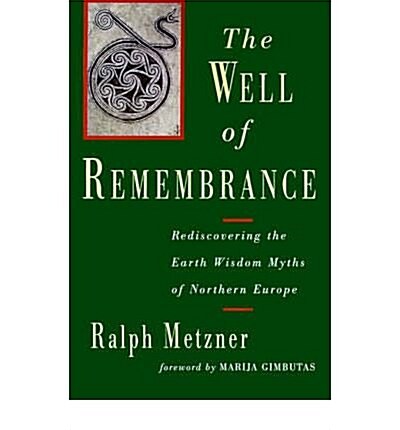 Well of Remembrance (Paperback, 1st)