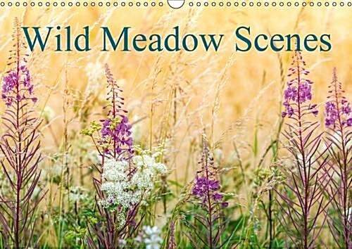 Wild Meadow Scenes 2016 : Wildflower Meadows in Glorius Colour. (Calendar)