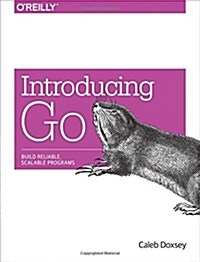 Introducing Go: Build Reliable, Scalable Programs (Paperback)