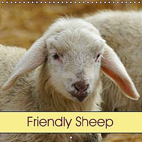 Friendly Sheep 2016 : Farm Animals (Calendar)