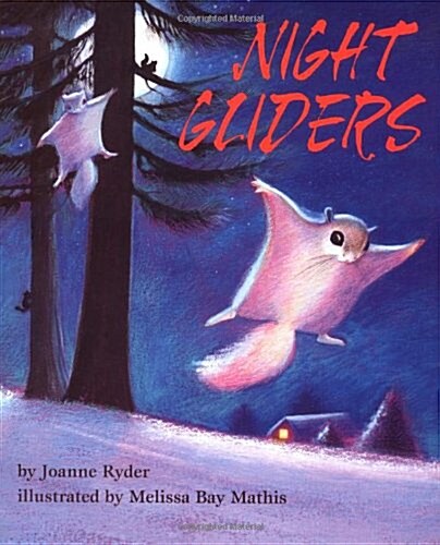 Night Gliders (Paperback)