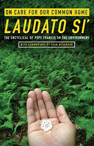 On Care for Our Common Home, Laudato Si: The Encyclical of Pope Francis on the Environment with Commentary by Sean McDonagh (Paperback)