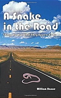 A Snake in the Road: A Different Take on the U.S. Involvement in Vietnam (Paperback)