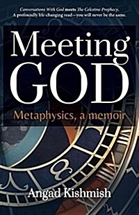 Meeting God: Metaphysics, a Memoir (Paperback)