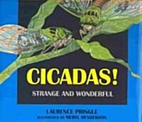 Cicadas!: Strange and Wonderful (Hardcover)