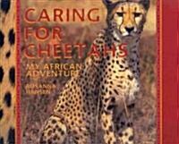 Caring for Cheetahs: My African Adventure (Paperback)