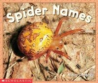 Spider Names (Emergent Readers) (Paperback)