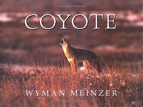 Coyote (Hardcover)