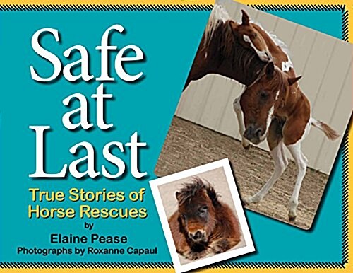 Safe at Last (Paperback)