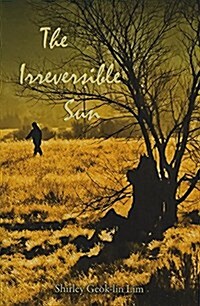 The Irreversible Sun (Paperback)