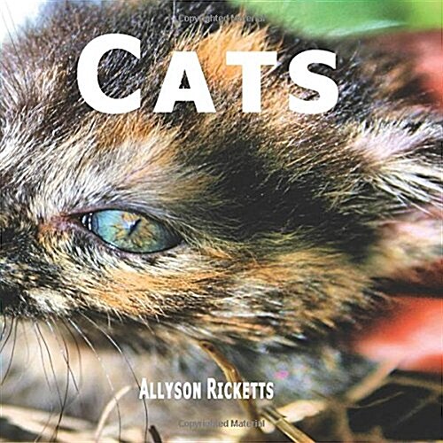 Cats (Paperback)